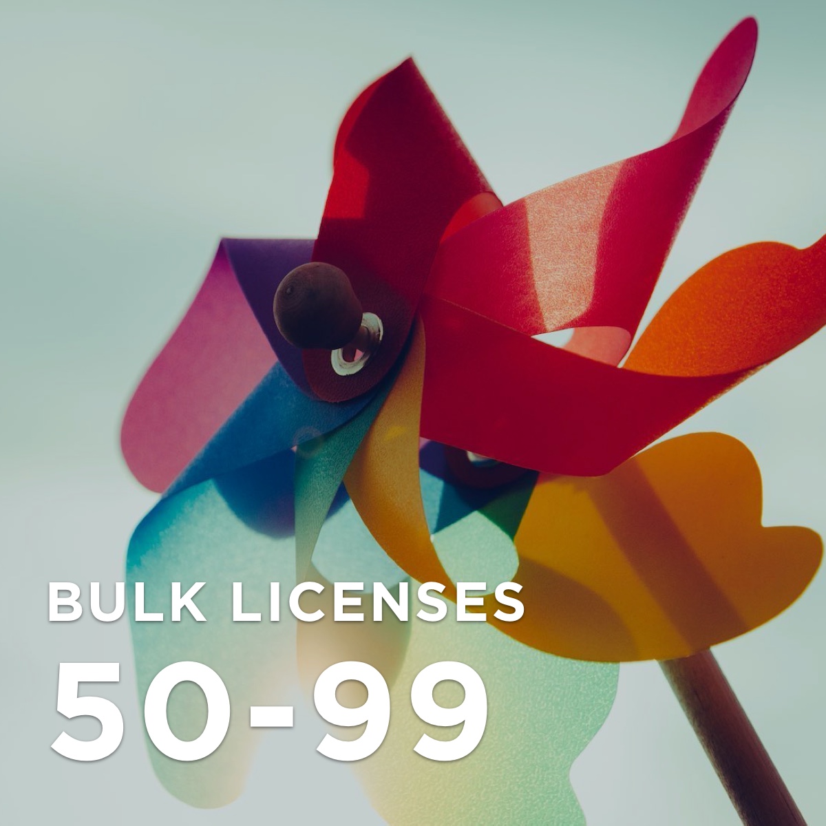 50-99 licenses