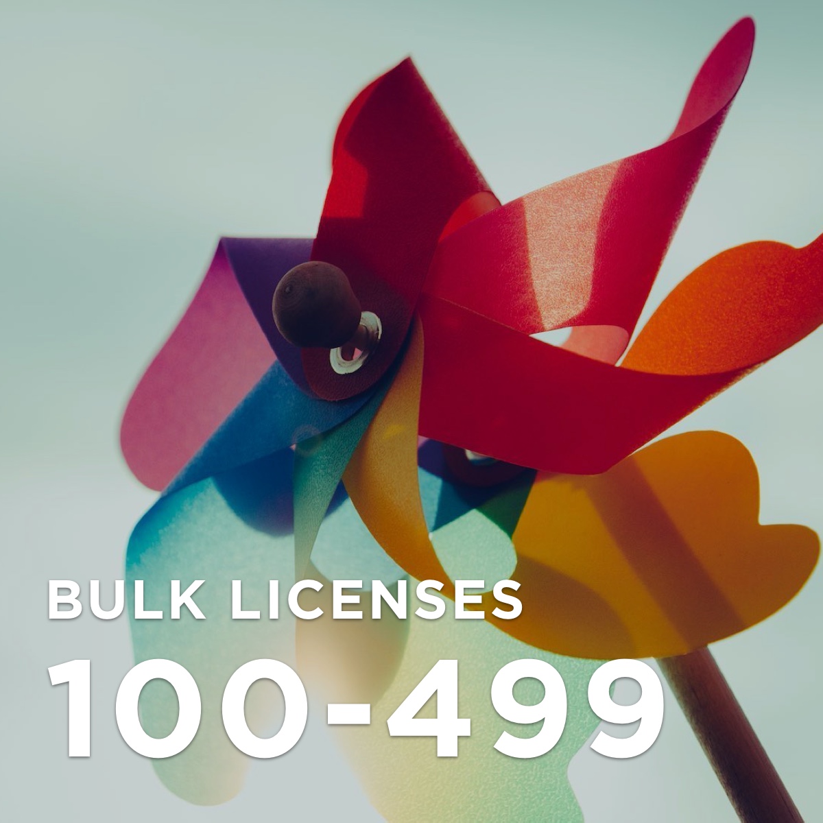 100-499 licenses