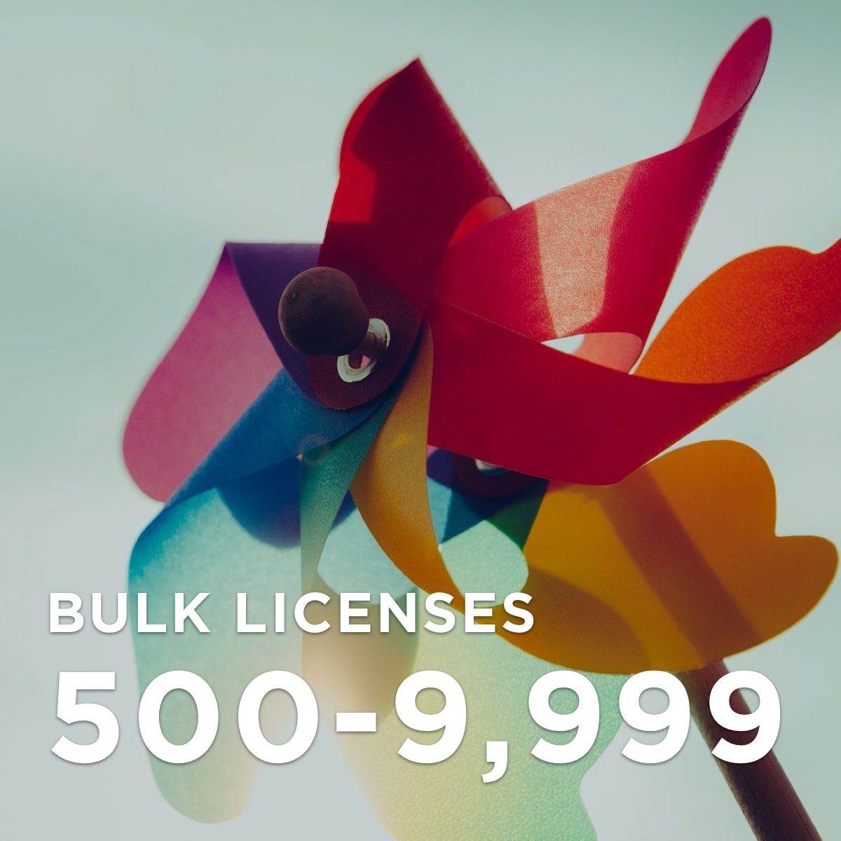 500 Plus licenses